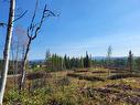 Lot 2 Ager Road, Burns Lake, BC 