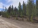 Lot 2 Ager Road, Burns Lake, BC 