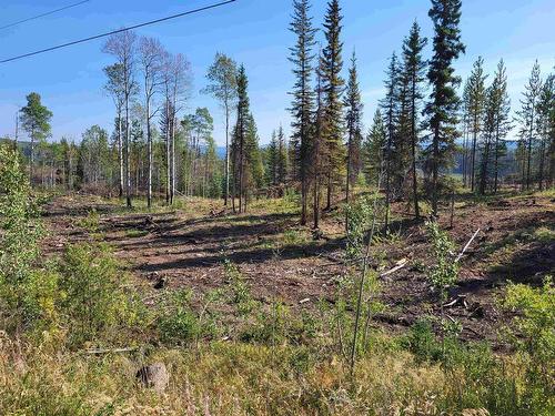 Lot 4 Colleymount Ager Road, Burns Lake, BC 