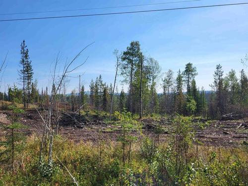 Lot 4 Colleymount Ager Road, Burns Lake, BC 