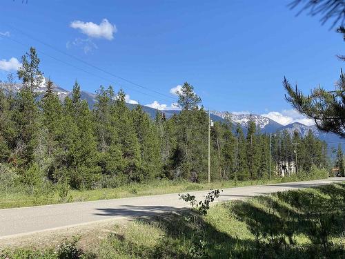 Lot 7 Pine Road, Valemount, BC 