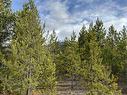 Lot 5 Starview Road, Valemount, BC 