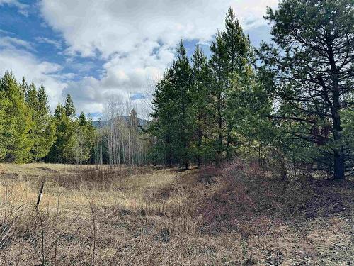 Lot 5 Starview Road, Valemount, BC 