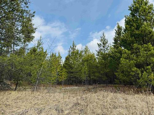 Lot 5 Starview Road, Valemount, BC 