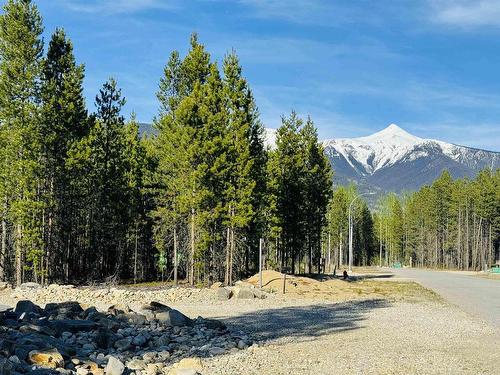 1250 Fowler Place, Valemount, BC 