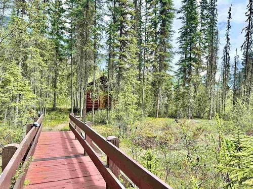 14086 Swift Current Road, Valemount, BC 