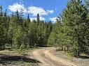 Lot 4 Pitney Road, Valemount, BC 