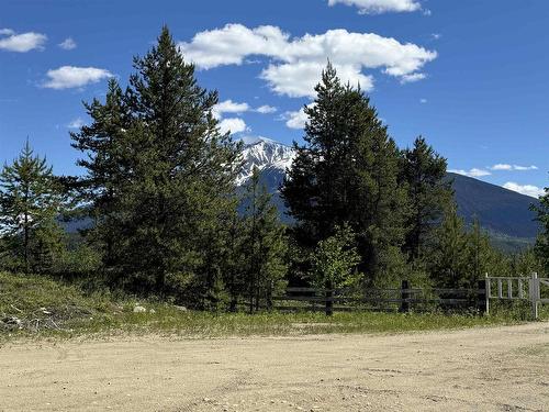 Lot 4 Pitney Road, Valemount, BC 