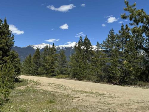 Lot 4 Pitney Road, Valemount, BC 