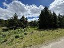 Lot 2 Starview Road, Valemount, BC 