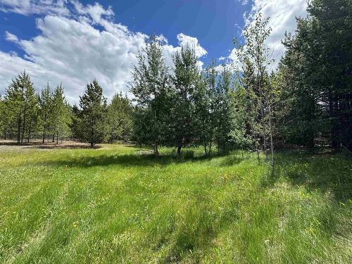 Lot 2 Starview Road, Valemount, BC 