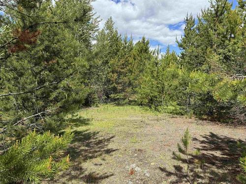 Lot 2 Starview Road, Valemount, BC 