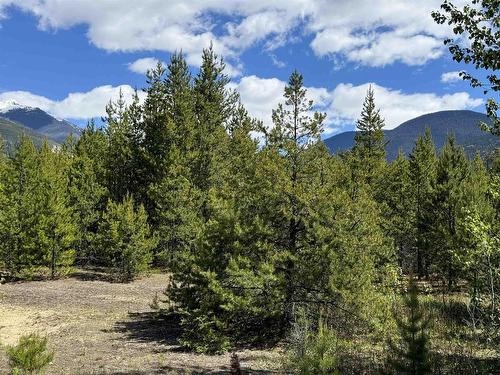 Lot 3 Starview Road, Valemount, BC 