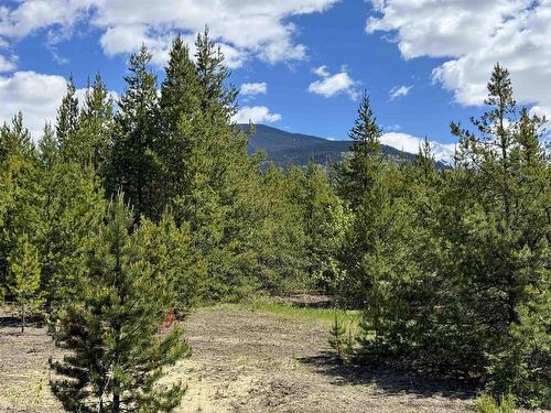 Lot 3 Starview Road, Valemount, BC 