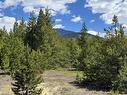 Lot 3 Starview Road, Valemount, BC 