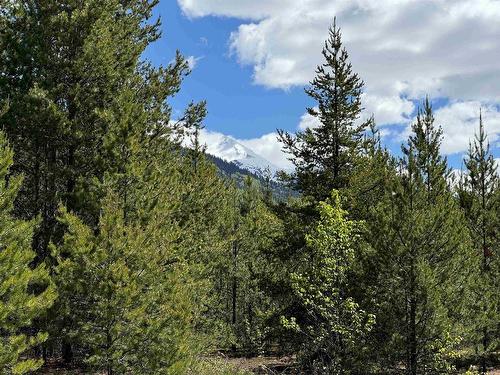 Lot 3 Starview Road, Valemount, BC 