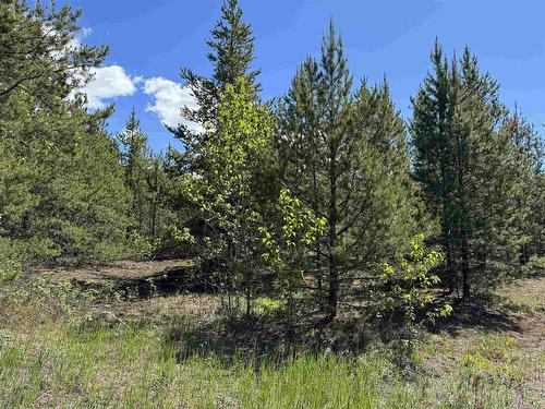 Lot 3 Starview Road, Valemount, BC 