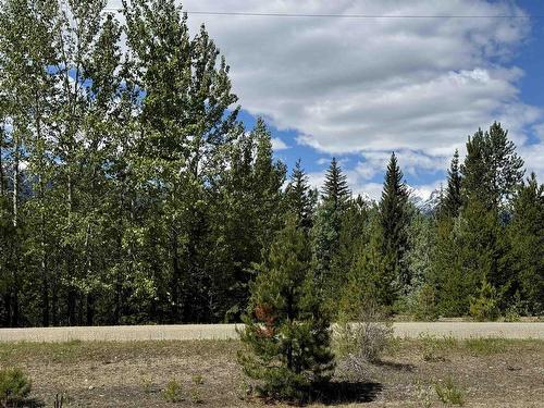 Lot 3 Starview Road, Valemount, BC 