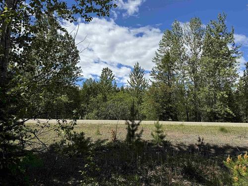 Lot 3 Starview Road, Valemount, BC 