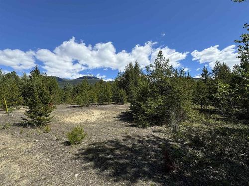 Lot 3 Starview Road, Valemount, BC 