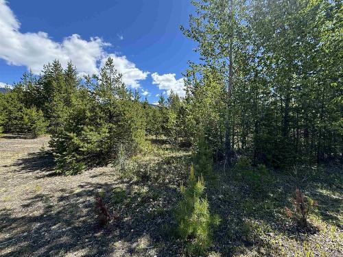 Lot 3 Starview Road, Valemount, BC 