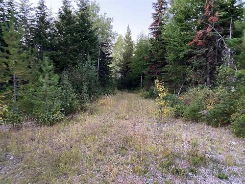 N 1/2Of Dl7871 Takla Forest Road, Prince George, BC 