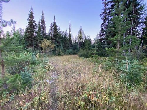 N 1/2Of Dl7871 Takla Forest Road, Prince George, BC 