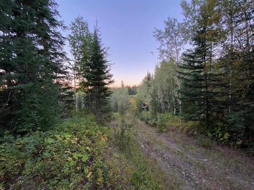 N 1/2Of Dl7871 Takla Forest Road, Prince George, BC 