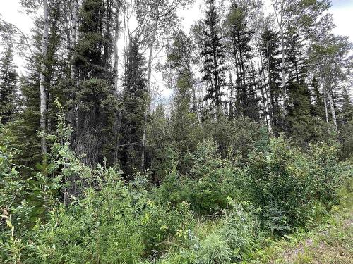 Lot B Jardine Road, Cluculz Lake, BC 