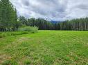 3095 Mountain View Road, Mcbride, BC 