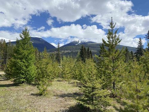 3235 Mclennan Road, Valemount, BC 