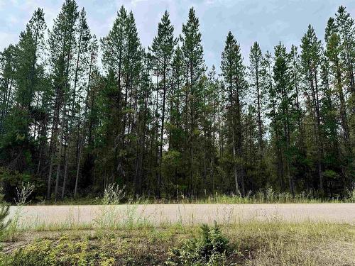 Lot 8 Pine Road, Valemount, BC 