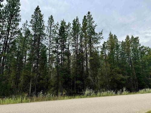 Lot 8 Pine Road, Valemount, BC 