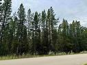 Lot 8 Pine Road, Valemount, BC 