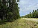 Lot 8 Pine Road, Valemount, BC 