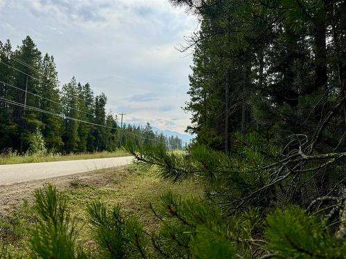 Lot 8 Pine Road, Valemount, BC 