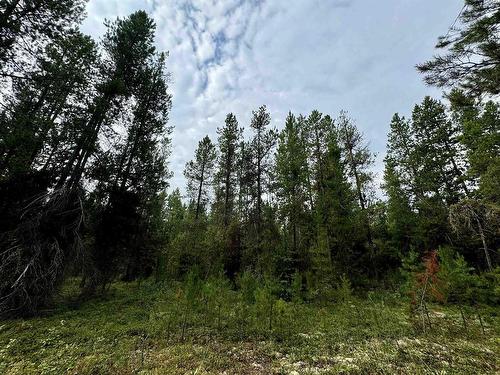 Lot 8 Pine Road, Valemount, BC 