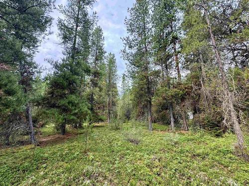 Lot 8 Pine Road, Valemount, BC 