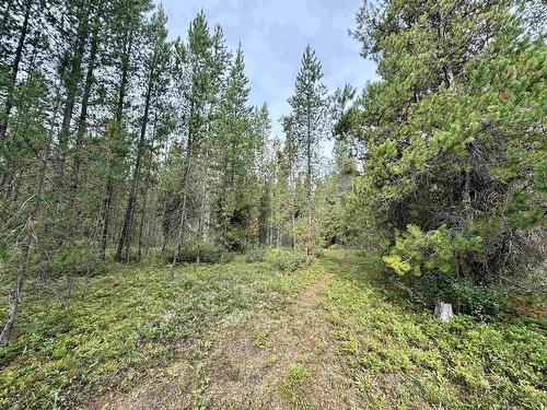 Lot 8 Pine Road, Valemount, BC 