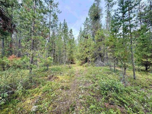 Lot 8 Pine Road, Valemount, BC 