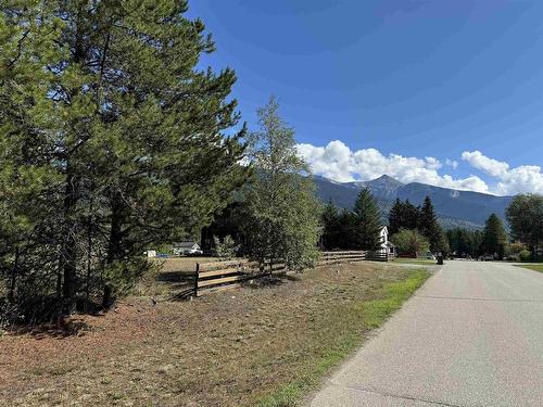 1112 7Th Avenue, Valemount, BC 