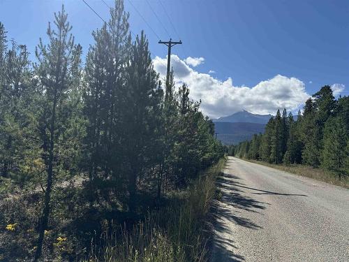 990 Cranberry Lake Road, Valemount, BC 