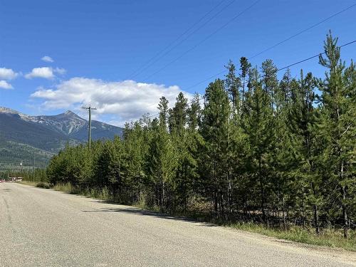 990 Cranberry Lake Road, Valemount, BC 