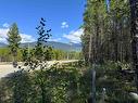 1285 Fowler Place, Valemount, BC 