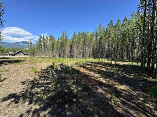 1295 Fowler Place, Valemount, BC 