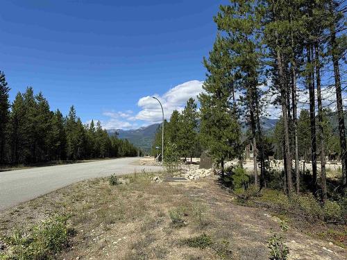 1295 Fowler Place, Valemount, BC 