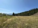 Lot 1 5 Highway, Valemount, BC 