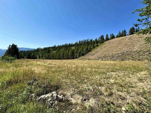 Lot 1 5 Highway, Valemount, BC 