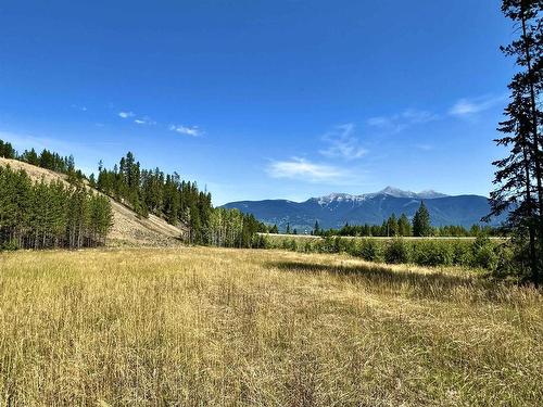 Lot 1 5 Highway, Valemount, BC 