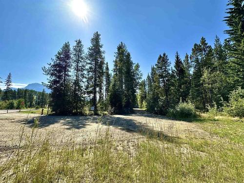 Lot 1 5 Highway, Valemount, BC 